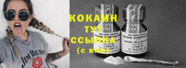 прущие грибы Наволоки