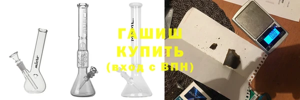 прущие грибы Наволоки