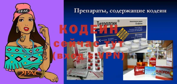 прущие грибы Наволоки