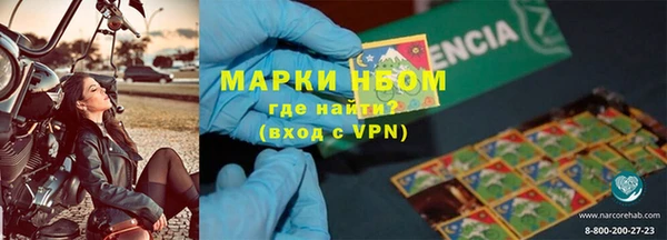 прущие грибы Наволоки