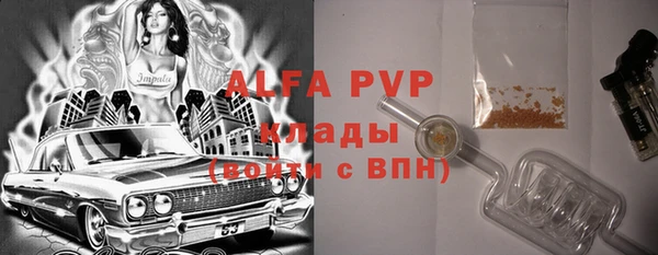 прущие грибы Наволоки