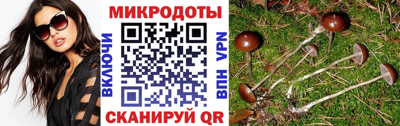 Псилоцибиновые грибы прущие грибы  Купить где  Кыштым 