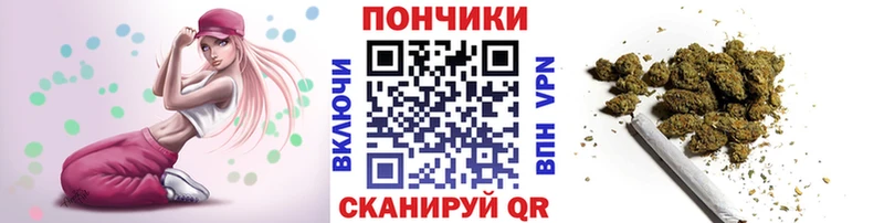 Канабис план  Купить закладки  Кыштым 